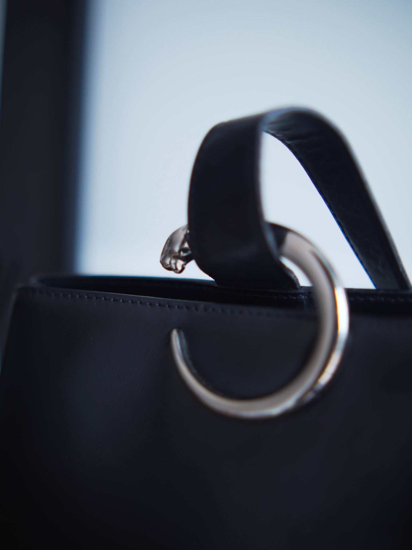 Cartier Panthère Sidepack Bag – Black Leather