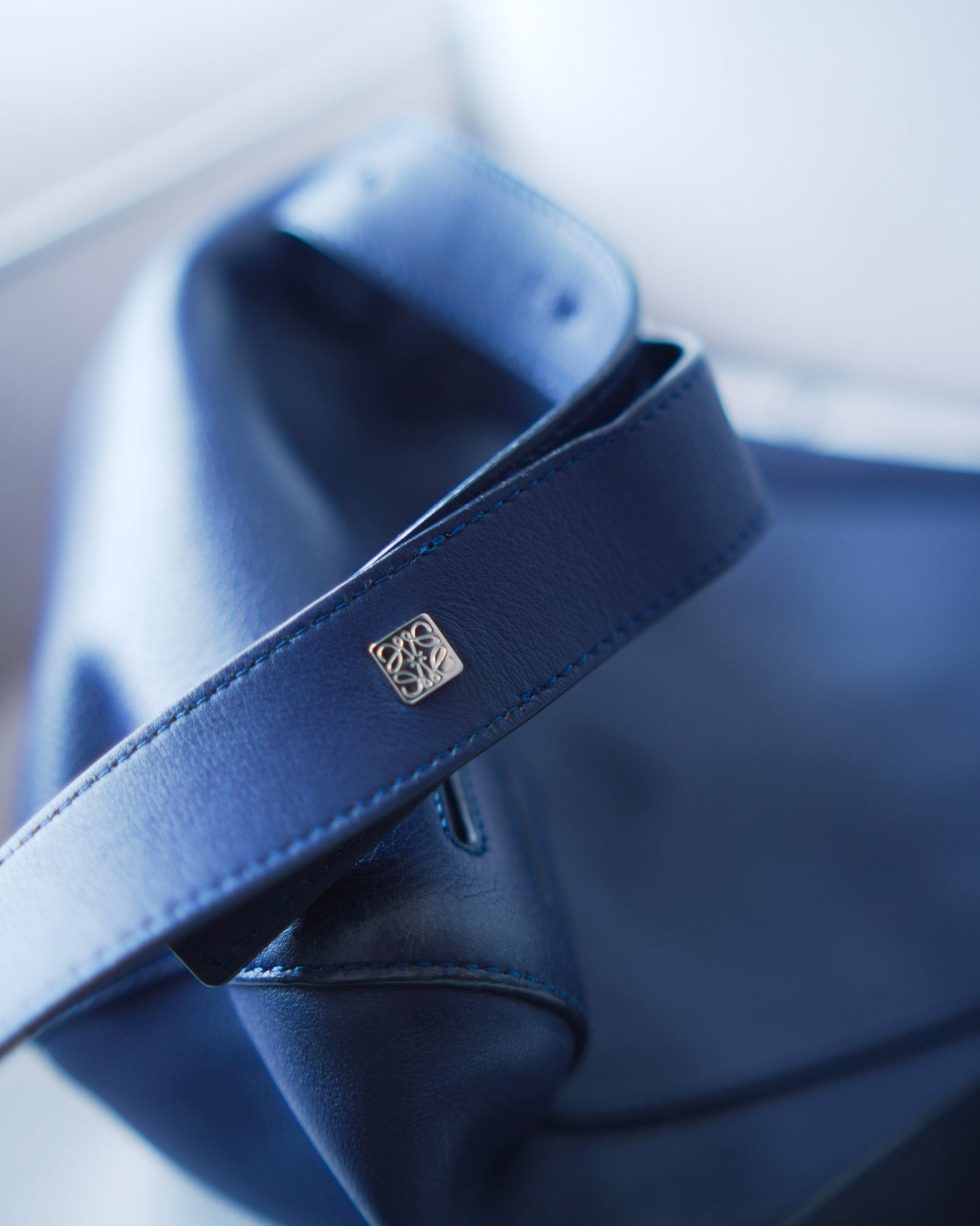 Anton Leather Crossbody Bag de Loewe