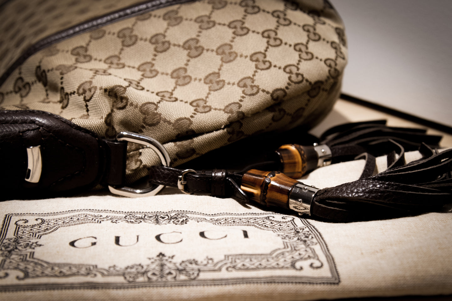 Gucci Hobo Canvas Techno Horsebi